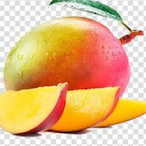 MangoHaven's Avatar'