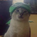 dangooooo1's Avatar'