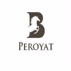 Peroyat-STS's Avatar'