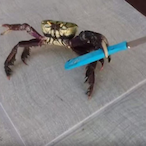 TikTokfloww's Avatar'