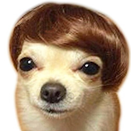 KTW51's Avatar'