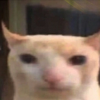 Aydolfhitlmo's Avatar'