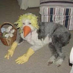TheFunnySquared's Avatar'