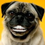 Doggie_Wof_Woof's Avatar'