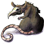 Plague_Ratman's Avatar'