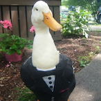 DuckWithNoPants's Avatar'
