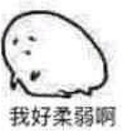 Ruyi0108's Avatar'