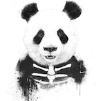 Mr.PanDa...'s Avatar'