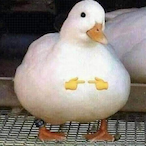 BoomIVV's Avatar'