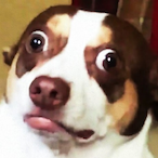Balian-dIbelin's Avatar'