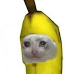 Sadbananana's Avatar'