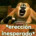 CainhoGames12's Avatar'