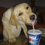 CrackedCup.'s Avatar'