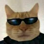 Xyenta's Avatar'