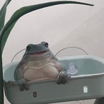 The NickBo's Avatar'