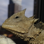 Turbo_0_20's Avatar'