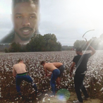 balding-earplug0's Avatar'