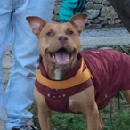 Boss_Sicily_94's Avatar'