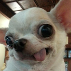 Judehigly's Avatar'