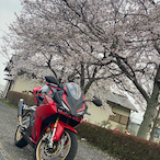 Rilaxy.cbr's Avatar'