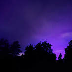 IgorPereira.1's Avatar'