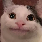 NutTooMuch's Avatar'