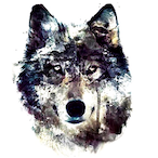 bodi-FBI's Avatar'