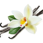 Vanilla__Bean's Avatar'