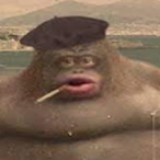 Admiral_lAckbar's Avatar'