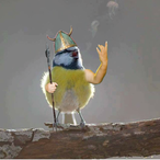 Robertorobatto's Avatar