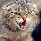 xiaoxiao1949's Avatar'