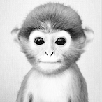 YCG_Monke's Avatar'