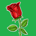 Numerose.'s Avatar'