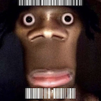 Palaan_'s Avatar'