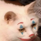 im_goldbug's Avatar'