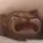 trextoto's Avatar'