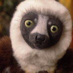Zubumafu00's Avatar'