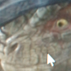 LanceDressing's Avatar'
