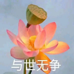 NotAnymore.jar's Avatar'