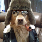 steverule12's Avatar'