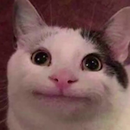 FatBruh13's Avatar'