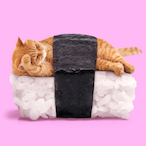 Strohvonnebenan's Avatar'