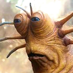 lyxzqx's Avatar'