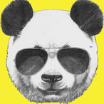 SrPandemonium's Avatar'