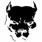 danN____'s Avatar'