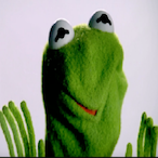 chasingthrill's Avatar'