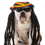 CoinClipper271k's Avatar'