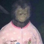 og_red_onion's Avatar'