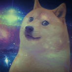 Amazing_Panda's Avatar'