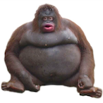 WhosDaniel.'s Avatar'